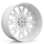 RS-DS18 CUSTOM FORGED MULTI SPOKES 2 PIECE MONOBLOCK WHEEL